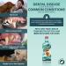 Dental Fresh Water Additive for Dogs - Original Formula 17 oz - Buy Online on SooperMarket.com