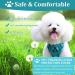 Fineasy Cat Dishes with Adjustable Leash - Outbreak-Proof Harness & Soft Cat Kitten Dog Breastware (Green S) | Shop Internationally - Buy Online on SooperMarket.com