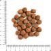 Hunger of the Wolf Adult Dog Food - Beef & Brown Rice 3kg | Premium Dry Food for All Breeds - Buy Online on SooperMarket.com