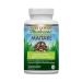 Host Defense Mushrooms | Maitake Mushroom Capsules |Promotes Blood Sugar Metabolism and Immunity | Non-GMO Vegan Organic | 120 Caps 120 count (Pack of 1)