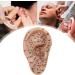 Shitoomfe Ear Seed Acupuncture Kit - Complete Soft Ear Seed Kit with 7.5 Ear Model Tweezers Probe Pen & Ear Acupuncture Guide - Perfect for Self-Care & Wellness - Buy Online on SooperMarket.com
