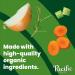 Pacific Foods Organic Bone Broth Original Chicken 8oz Cartons 12-Pack - Keto Friendly Chicken Bone Broth, 8 Fl Oz (Pack of 12) - Buy Online on SooperMarket.com