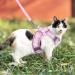 Buy BriFit Cat Dishes & Adjustable Harness - Reflective Stripes Pink XXS for Kittens & Small Dogs (4.41-61 lbs) - International Shipping Available - Buy Online on SooperMarket.com