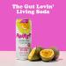 FHIRST Living Soda Taster Pack | Probiotic/Prebiotic Soda for Gut Health| Ginger Mandarin Cherry Vanilla & Passion Fruit Flavours | Zero Sugar or Sweetener | Mix pack - 12 x 330ml - Buy Online on SooperMarket.com