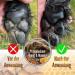 Paw Balm 30ml - Almond Honey Dog Paw Cream for Ultimate Paw Care & Protection | International Shipping Available - Buy Online on SooperMarket.com