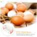 KOMBIUDA Box Egg Carton Eggs Deviled Egg Tray with Lid Kitchen Egg Container Side Door Refrigerator re-usable White 22.3X10.1X8.9CM - Buy Online on SooperMarket.com