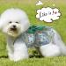 Puppy Dog Floral Dress Set - 4 Pieces Cute Rosette Sundress & Bowknot Apparel for Small Pets (Flower Patterns L) - Buy Online on SooperMarket.com