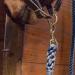 TrustBreech 10ft Solid Cotton Lead Rope - Made in USA - 5/8 inch Thick - Heavy-Duty Bolt Snap - Handmade Soft Dark Grey Blue - Buy Online on SooperMarket.com