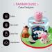 SugarArt Edible Farm Animal Cake Toppers - Handmade Sugar Decorations for Kid's Birthdays (Set of 4: Sheep, Cow, Pig & Horse) - Buy Online on SooperMarket.com