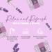 Fresh Faze Lavender Shower Steamer - Organic Aromatherapy Shower Bombs for Women - Buy Online on SooperMarket.com