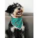Lionet Paws Thanksgiving Bandana for Dogs - Triangular Headscarf & Towel for Small Medium & Large Dogs - 1 Pack Turkey Design - Buy Online on SooperMarket.com