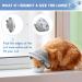 Supet Cat Cone Collar Soft to Stop Licking Cat Recovery E Collar After Surgery Cat Neck Head Cone Alternative for Small Large Cats Kittens Grey M+(8.5"-12") Grey - Buy Online on SooperMarket.com