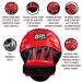 Cleto Reyes Curved Mitts with Hook and Loop Closure - Top Quality Training Gear - Buy Online on SooperMarket.com