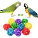 Anteer 12 Pack Bird Parrot Swing Chewing Toys - Hanging Bell Cage Toys for Small Parakeets, Cockatiel, Conures, Finches, Budgie, Macaws, Parrots, Love Birds - Buy Online on SooperMarket.com