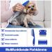 3-Piece Stainless Steel Flea & Lice Comb Set for Dogs & Cats | Pet Care Tools for Effective Tear Stain Removal - Blue - Buy Online on SooperMarket.com