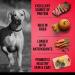 Zoe Grain Free Dog Food All Breed & Life Stages Beef with Peas & Pumpkin Recipe 5 kg Beef 5 kg (Pack of 1) - Buy Online on SooperMarket.com