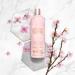 Baylis & Harding Liquid Body Wash Soap - Elements Pink Blossom & Lotus Flower 16.9oz | Luxurious Moisturizing Formula for All Skin Types - Buy Online on SooperMarket.com