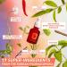 Erborian Skin Therapy Multi-Perfecting Face Oil-Serum - Reduces Signs of Fatigue - Korean Cosmetics - 30ml - Buy Online on SooperMarket.com