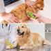 Dog Vet Wrap: 8 Rolls Self Adhesive Bandages for Paws - Breathable & Stretchable Fabric for Sprains & Swelling in 4 Colors with Paw Pattern - Buy Online on SooperMarket.com