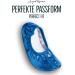 Buy Winning Podium Glitter Gymnastics Shoes for Kids Breathable Non-Slip Slippers (Size 24-40) in Blue Perfect for Girls & Boys Gymnastics & Ballet - Buy Online on SooperMarket.com