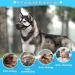 Fwlwtwss Dog Muzzle - Adjustable Mesh Muzzle for Small Medium & Large Dogs | Prevents Biting Chewing & Barking | International Shipping Available - Buy Online on SooperMarket.com
