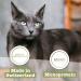 Catz Finefood MEATZ Cats Kalb N 5 - Grain-Free Veal Snacks for Cats - Crunchy & Healthy Treats 45g - Buy Online on SooperMarket.com