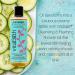 Vitabath Cucumber & White Tea Shower Oil - Nourishing Body Wash for Dry Skin - 8 fl oz - Refreshing Hydration for Women & Men - International Shipping Available - Buy Online on SooperMarket.com