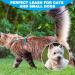 SCIROKKO Reflective Cat Leash - 30ft Escape Proof Durable Walking Lead for Kittens, Puppies, Rabbits - Black - Buy Online on SooperMarket.com