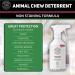 C&G Pets | No Chew Bitter Apple Spray for Dogs | Stop Dog Chewing Deterrent | Alcohol Free Anti Chew Repellent Formula for Puppies Cats Horses and Rodent Pets - Buy Online on SooperMarket.com