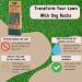 Dog Rocks - Urine Patch Preventer (200g) / Natural Dog Urine Neutraliser for Water Bowls Grass Repair Urine Burn Patch Repair 200 g (Pack of 1) - Buy Online on SooperMarket.com