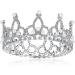 Lovelyshop Royal Tiger Crouncey Diamond Pearls - X Small Silver Crown for Dogs & Cats | Stylish Hair Accessories - Buy Online on SooperMarket.com