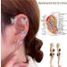 Beautification Magnetotherapy Body Detox Butterfly Earrings Non Piercing Magnetic Acupressure Slimming Earrings Butterfly Ear Cuffs Non Pierced Acupressure Slimm_ing Earrings for Women (2pcs-silver) - Buy Online on SooperMarket.com