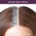 Madison Reed Terra Medium Brown Root Touch Up + Brow Filler - 0.13 oz - Instant Gray Coverage - Temporary Concealing Powder - Buy Online on SooperMarket.com