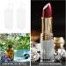 25pcs Transparent Lip Gloss Boxes - Clear Lipstick Holders & Portable Lip Balm Pouches for International Shipping - Buy Online on SooperMarket.com