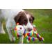 Rosewood Sonny Monkey Dog Toy Multicolor 15 Inch (Pack of 1) single - Buy Online on SooperMarket.com