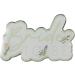 Ginger Ray Bride to Be Flower Enamel Silver Badge | Multicoloured 3.3cm x 5.3cm | Perfect Wedding Accessory - Buy Online on SooperMarket.com