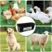 GIISH 2 Pack Chicken Goat Hanging Fence Feeder Black ABS for Deer Duck Dog and Piglets Goose Waterer Trough - Buy Online on SooperMarket.com