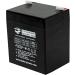 Buy 12V 4.5AH SLA Sealed Lead Acid Battery UB1245 UB1250 SLA1250 PS1250 for Alarm Medical Solar UPS | Fast International Shipping - Buy Online on SooperMarket.com