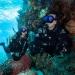 TUSA SP-0101 Hyperdry Elite II Diving Snorkel - Black/Fishtail Blue - Buy Online on SooperMarket.com