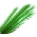 Begondis Artificial Aquarium Plants - Silk Green Aquatic Decor Safe for Fish & Pets (18cm) - International Shipping Available - Buy Online on SooperMarket.com