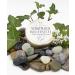Haslinger Sheepmilk Latte di Pecora Shaving Soap 60g - Premium Quality - Buy Online on SooperMarket.com