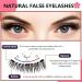Dalarey Magnetic Lashes kit Reusable double Magnetic Lashes Without Eyeliner No Glue Liner Waterproof Safe Easy to Wear for Essential Commuter Makeup (2 Pairs Natural) - Buy Online on SooperMarket.com