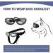 Small Breed Dog Sunglasses | UV Protection Goggles for Small Dogs | Wind & Dust Proof | Adjustable Straps | Clear Lens - Buy Online on SooperMarket.com