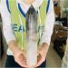 Natural Clear Black Tourmaline Quartz Crystal Obelisk Wand Point 1pc (Size : 1400-1500g) - Buy Online on SooperMarket.com