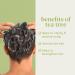 Baebody Tea Tree Oil Shampoo - Invigorating Tea Tree Shampoo for Healthy Scalp and Hair - Buy Online on SooperMarket.com