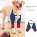 Dog Elbow Brace Protector Pads for Canine Elbow and Shoulder Support Elbow Hygroma Dysplasia Osteoarthritis Elbow Calluses Pressure Sores and Shoulder Dislocation (L) - Buy Online on SooperMarket.com
