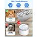 WOPET Stainless Steel Cat Water Fountain 67oz/2L - Silent Pet Drinking Fountain with Filter for Dogs, Cats, Birds, Small Animals - Buy Online on SooperMarket.com
