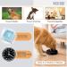 Large Pet Slow Feeder Dog Bowl - Interactive Puzzle Feeding Bowl for Healthy Eating - Non-Skid Bloat Stop Design in Black - Buy Online on SooperMarket.com