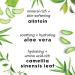 Facial Spray W/Aloe & Green Tea Hydrating Face Mist Moisturiser Aloe Vera Face Toner for Dry Skin Makeup Setting Spray for Face Soothing Face Spray Refresh & Repair 3.4 Fl Oz - Buy Online on SooperMarket.com