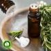 R V Essential Bhringraj Oil 15ml - 100% Pure Cold Pressed Eclipta Alba Hair Oil for Growth - Rare Herb Series - Buy Online on SooperMarket.com